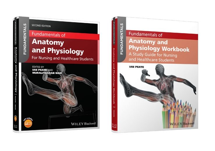 Buy Fundamentals Of Anatomy And Physiology Workbook Set By Professor