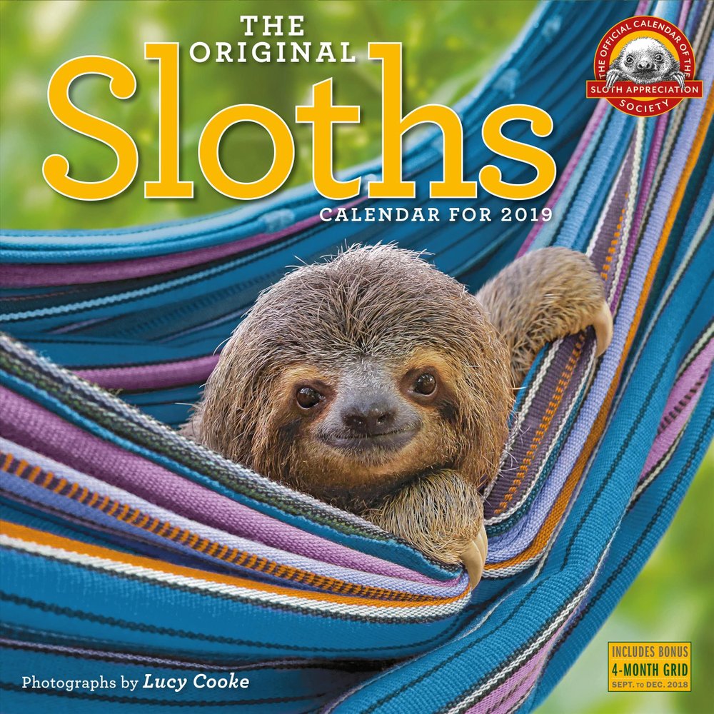 Buy 2019 Sloths Wall Calendar by Lucy Cooke With Free Delivery