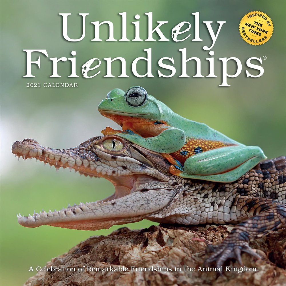 buy-2021-unlikely-friendships-wall-calendar-by-jennifer-s-holland-with-free-delivery-wordery