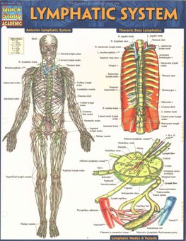 Buy Lymphatic System By Vincent Perez With Free Delivery - 