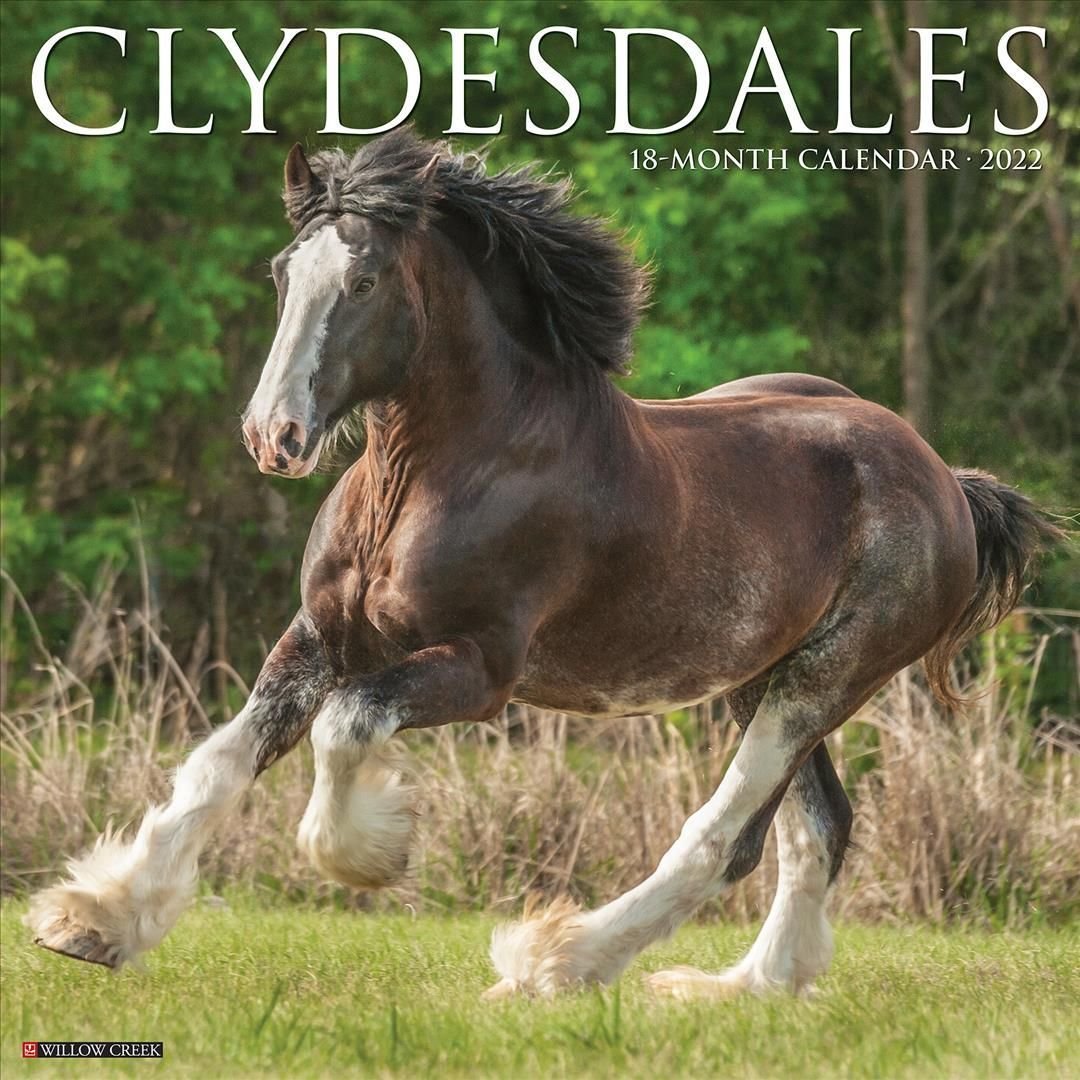 Clydesdales 2022 Wall Calendar (Horses)
