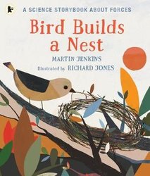 Bird Builds a Nest by Martin Jenkins