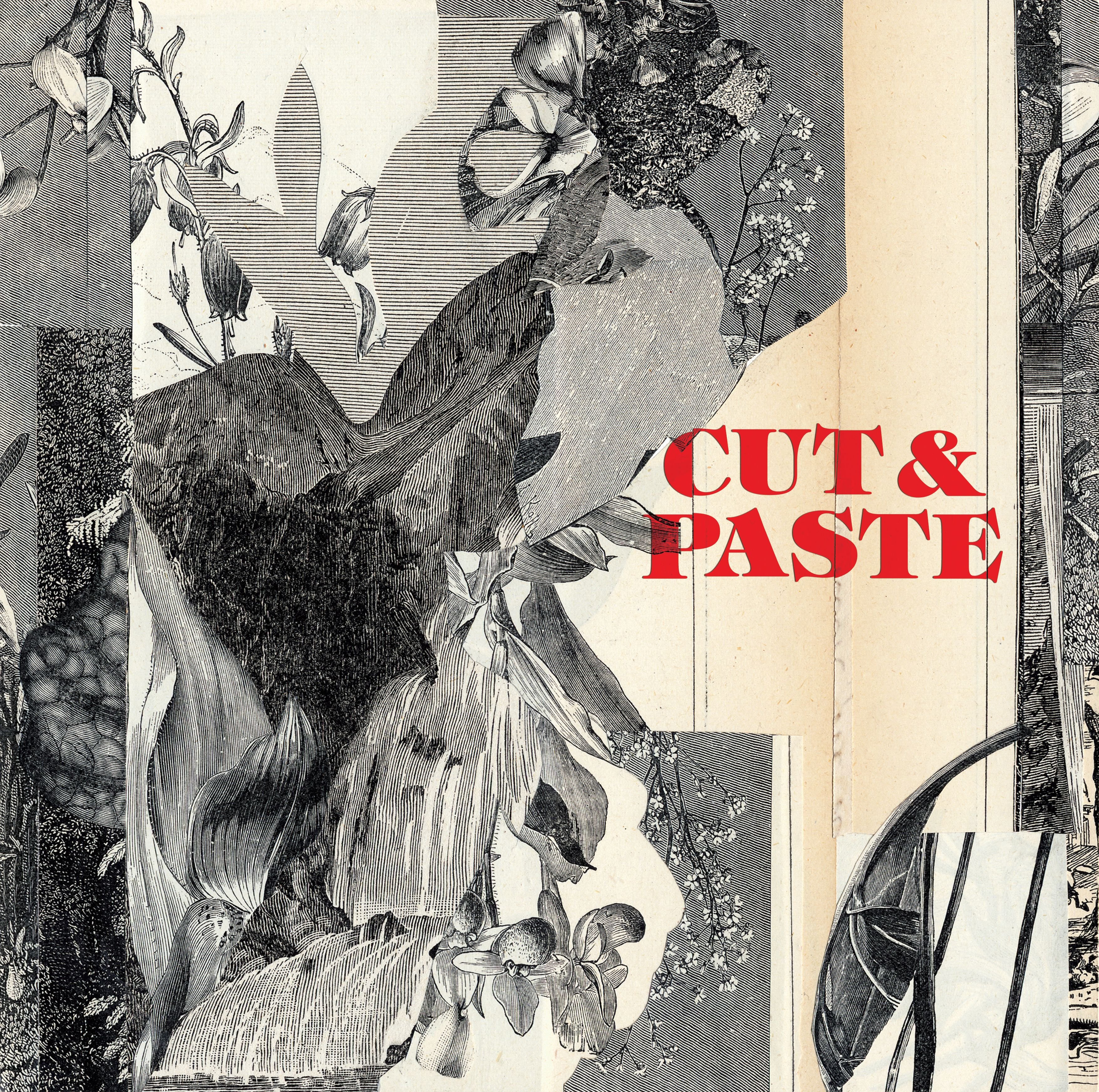 Reviewed and Rated: Cutting pastes for paint