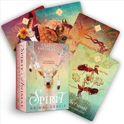  The Enchanted Map Oracle Cards: A 54-Card Oracle Deck for Love,  Purpose, Healing, Magic, and Happiness: 9781401927493: Baron-Reid, Colette:  Books