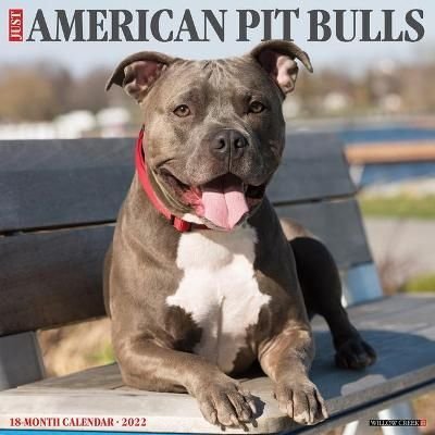 Just American Pit Bull Terriers 2022 Wall Calendar (Dog Breed)