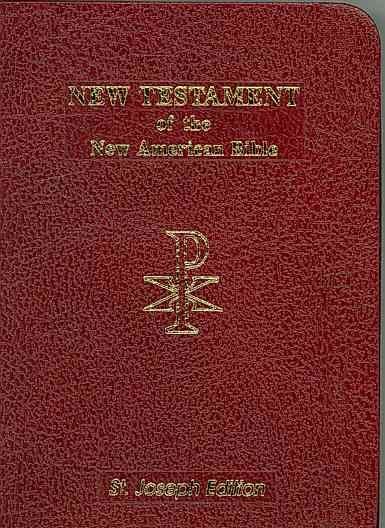 The New Testament You Never Knew Bible Study Guide | US