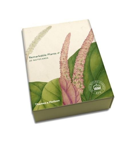 Remarkable Plants: Box of 20 Notecards