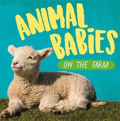 Buy Animal Babies: On the Farm by Sarah Ridley With Free Delivery |  