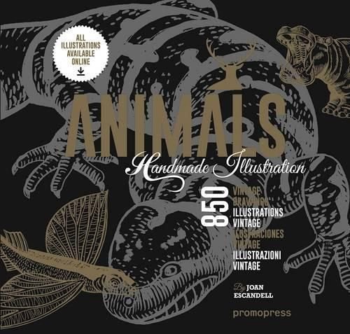 Animals: 1000 Handmade Illustrations