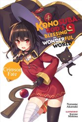  Konosuba: God's Blessing on This Wonderful World!, Vol. 1: Oh!  My Useless Goddess!: 9780316553377: Akatsuki, Natsume, Steinbach, Kevin,  Mishima, Kurone: Books