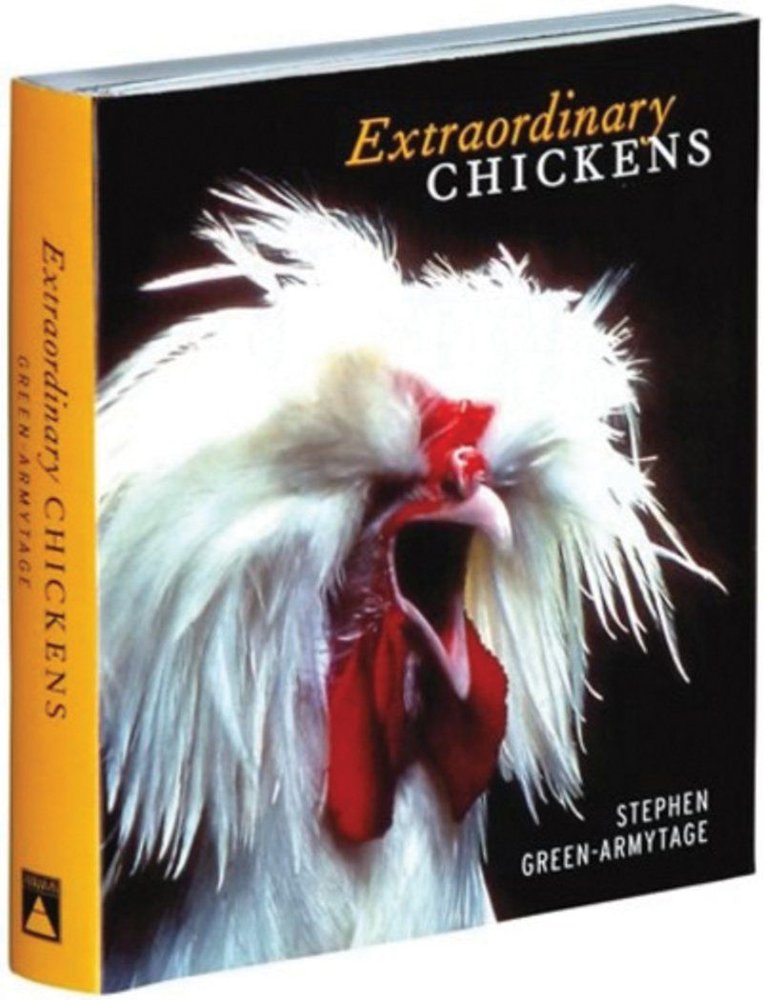 Buy Extraordinary Chickens by Stephen Green-Armytage With Free Delivery ...