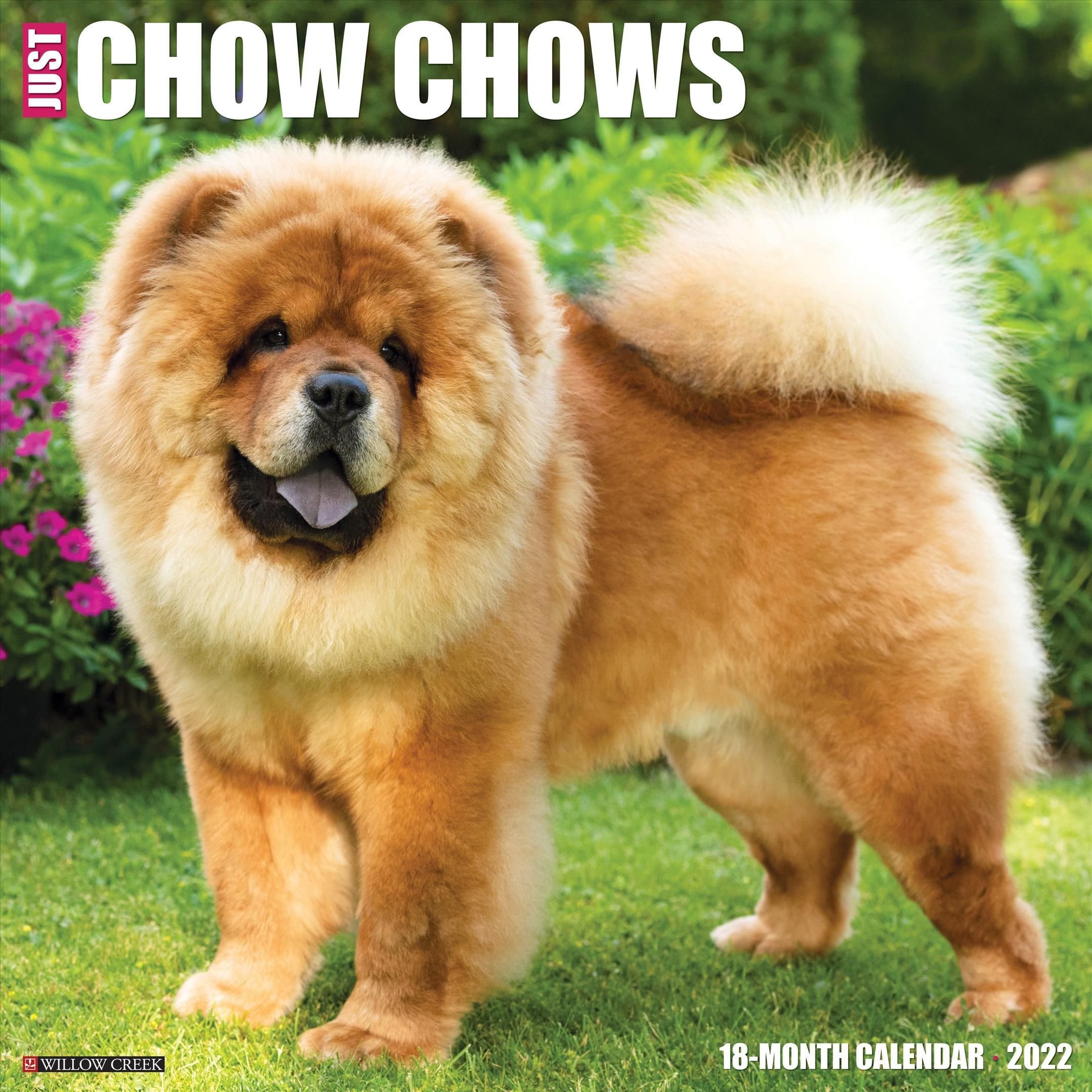 Just Chow Chows 2022 Wall Calendar (Dog Breed)