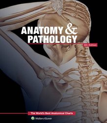 https://wordery.com/jackets/25f82160/anatomy-pathologythe-worlds-best-anatomical-charts-book-anatomical-chart-company-9781469889900.jpg?width=218&height=250