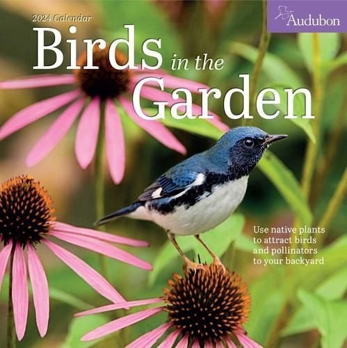 Buy Audubon Birds in the Garden Wall Calendar 2024 by National Audubon