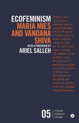 Patriarchy and Accumulation on a World Scale: Women in the International  Division of Labour: Critique Influence Change Maria Mies Zed Books