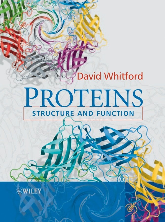 Proteins - Structure And Function | US