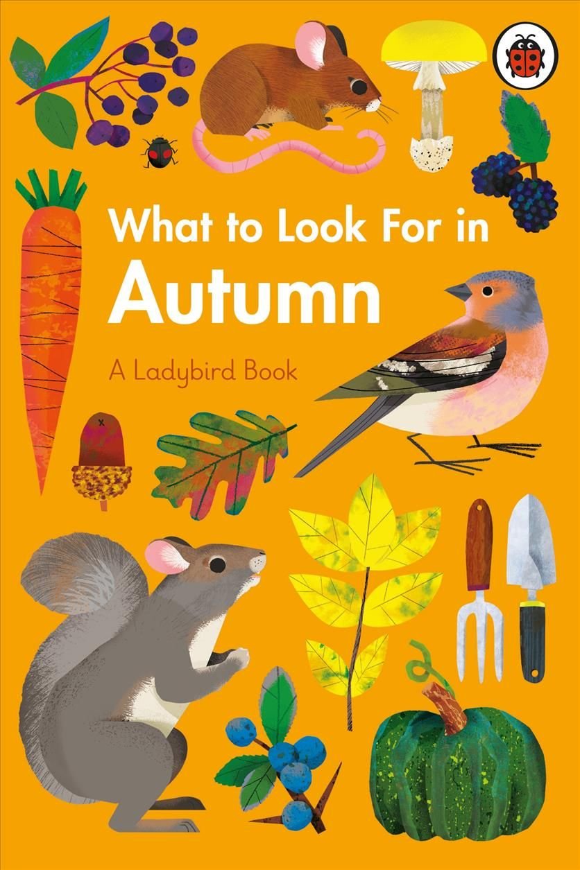 Buy What to Look For in Autumn by Elizabeth Jenner With Free Delivery |  wordery.com