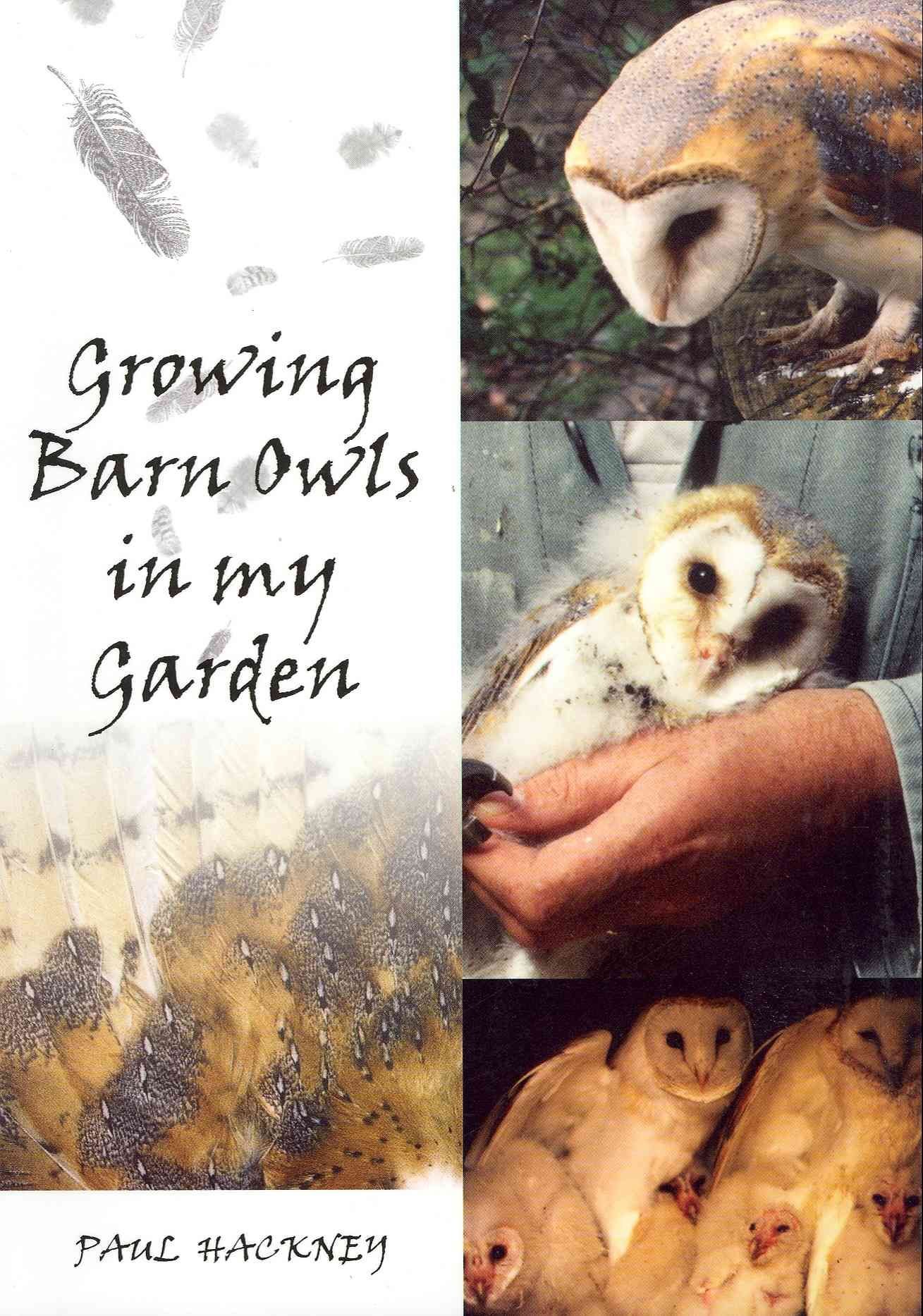 Growing Barn Owls in My Garden