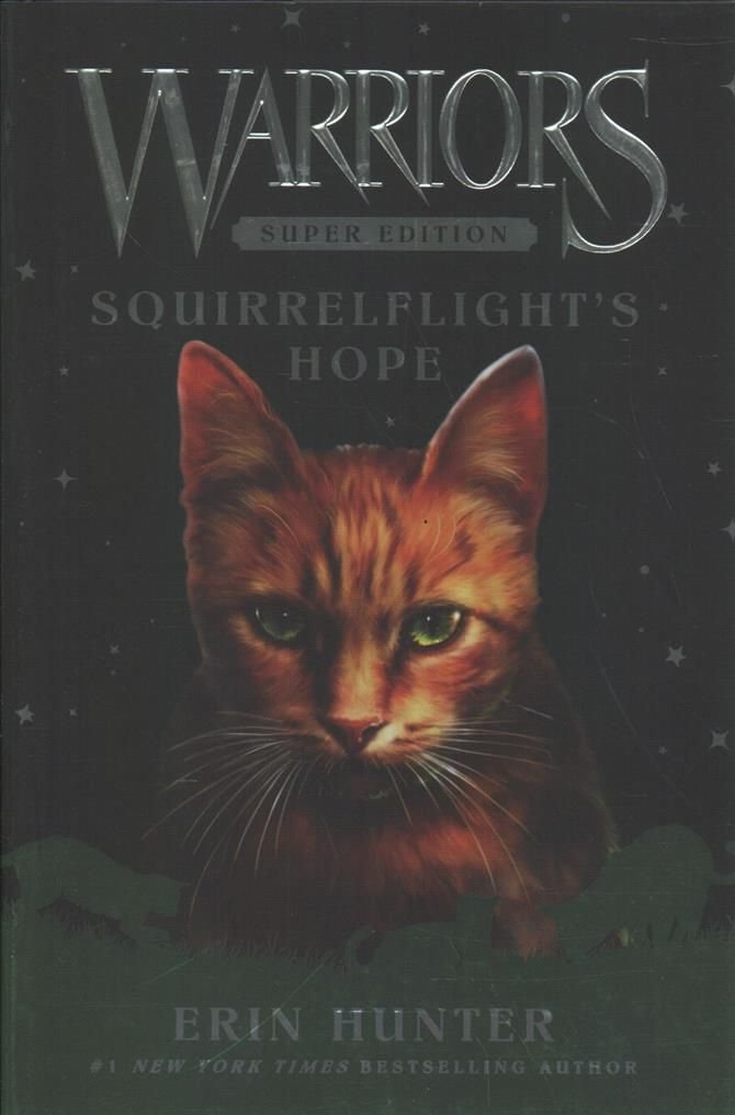 Warriors Super Edition: Hawkwing's Journey (Paperback)