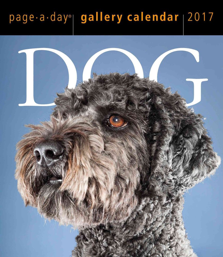 Buy Dog PageADay Gallery Calendar 2017 by Workman Publishing With