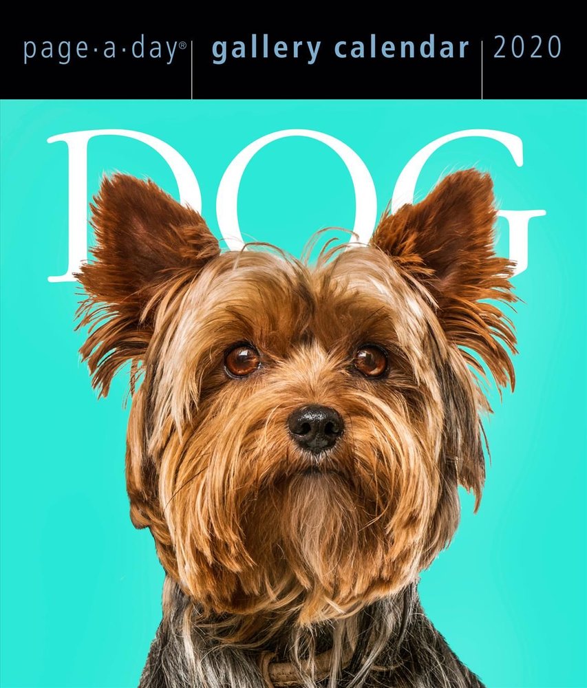 buy-2020-dog-page-a-day-gallery-calendar-by-workman-calendars-with-free-delivery-wordery