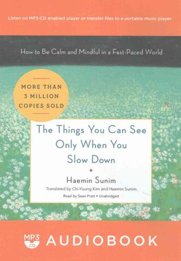 haemin sunim the things you can see