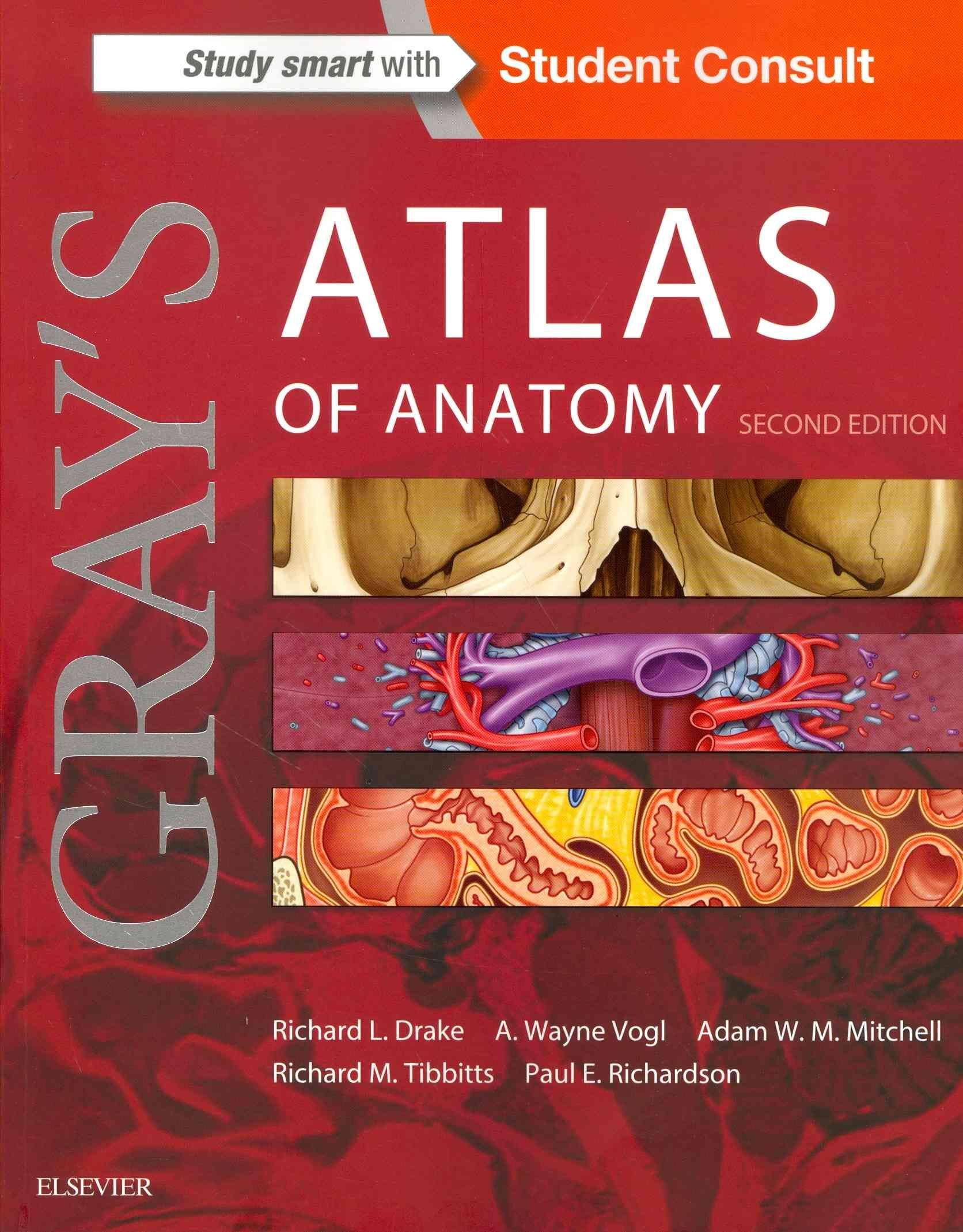 Pelvic Girdle - Gross Anatomy Flashcards