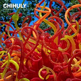 Buy Chihuly 2018 Wall Calendar By Dale Chihuly With Free