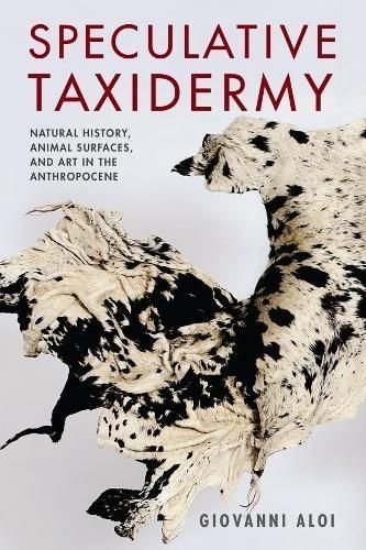 Taxidermy (Paperback)