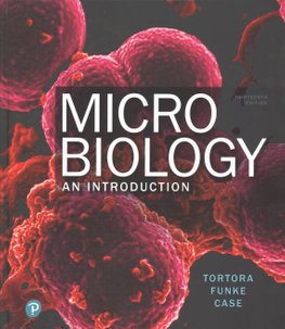 Microbiology an introduction