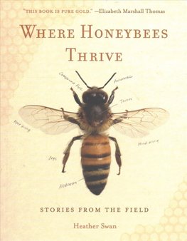  Where Honeybees Thrive