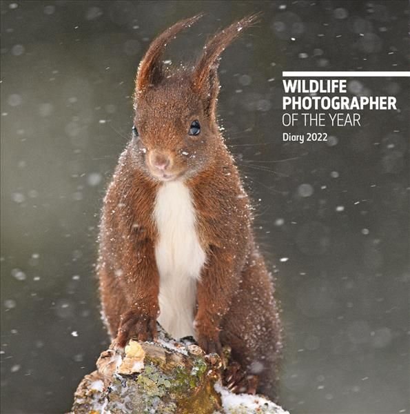 Buy Wildlife Photographer of the Year Pocket Diary 2022 by Natural