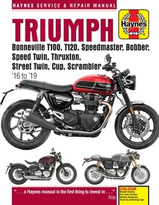 2019 triumph bonneville t100 for sale