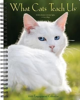 what cats teach us 2023 wall calendar | What cats teach us 2023 wall ...