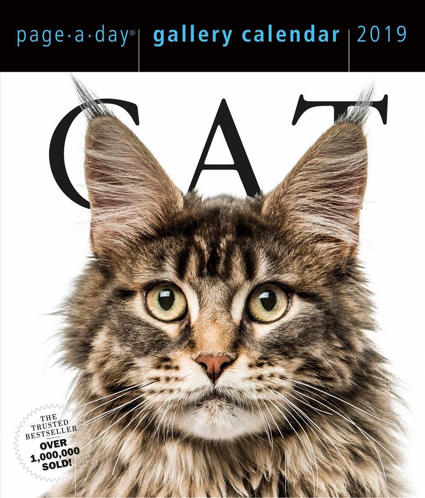 Buy 2019 Cat Gallery Page-A-Day Gallery Calendar by Workman Publishing