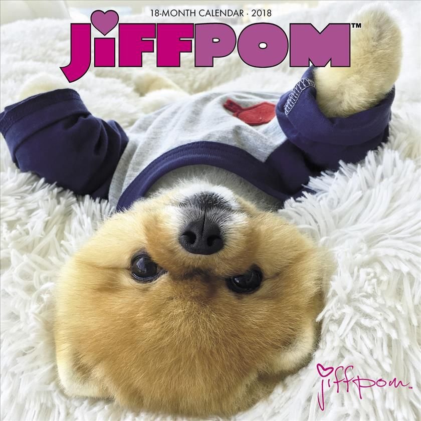 Jiffpom t shirt hotsell