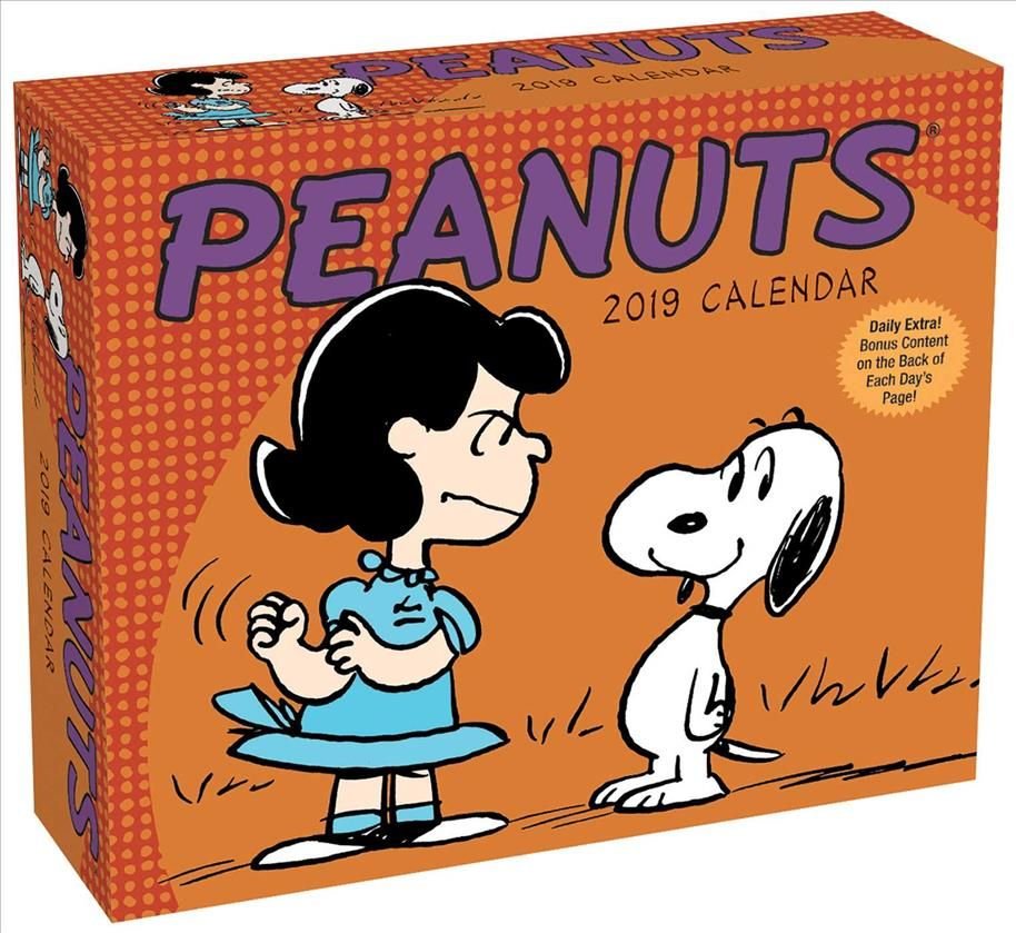 Buy Peanuts 2019 DaytoDay Calendar by Peanuts Worldwide LLC With Free