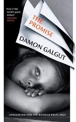 synopsis of the promise damon galgut