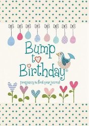 Bump to Birthday, Pregnancy & First Year Journal by Helen from you to me