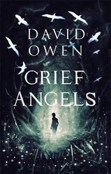 Grief Angels by David Owen