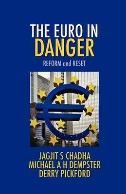 The Euro In Danger