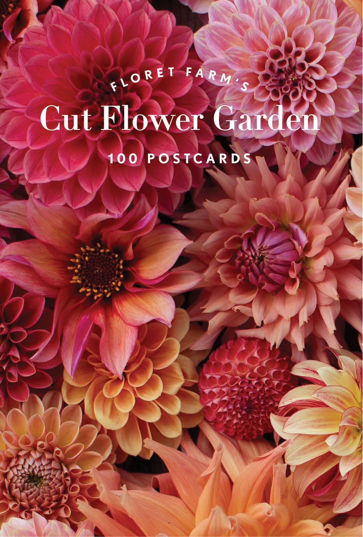 floret farm's cut flower garden 100 postcards by erin benzakein (postcard  book or pack)