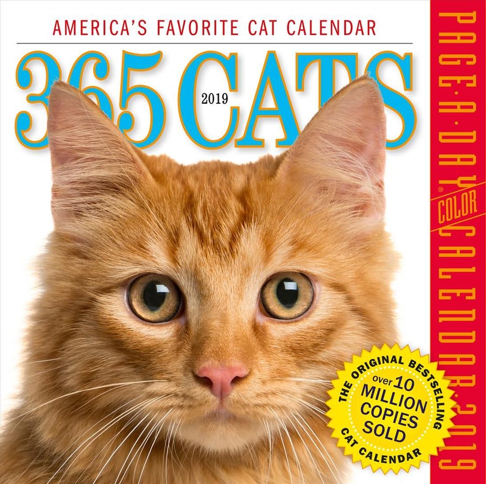 Buy 2019 365 Cats Colour PageADay Calendar by Workman Publishing With