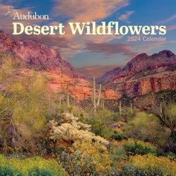 Audubon Desert Wildflowers Wall Calendar 2024 by National Audubon Society