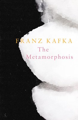 the metamorphosis summary by franz kafka