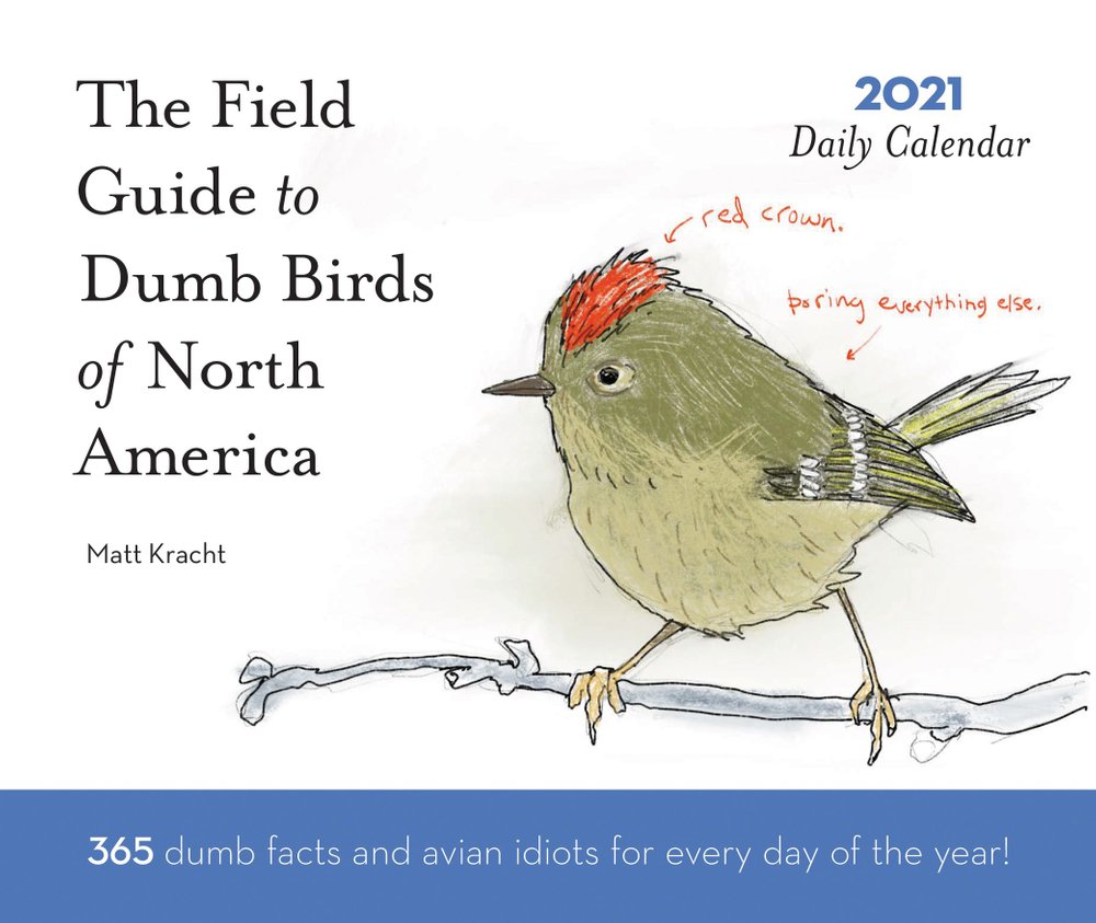 Buy 2021 Daily Calendar Dumb Birds of North America by Matt Kracht