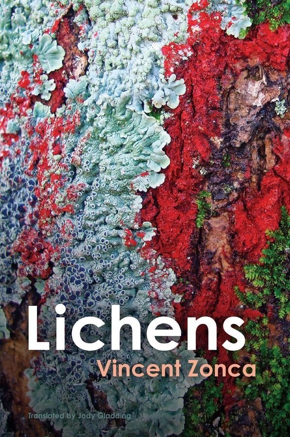 Lichens - Toward a Minimal Resistance