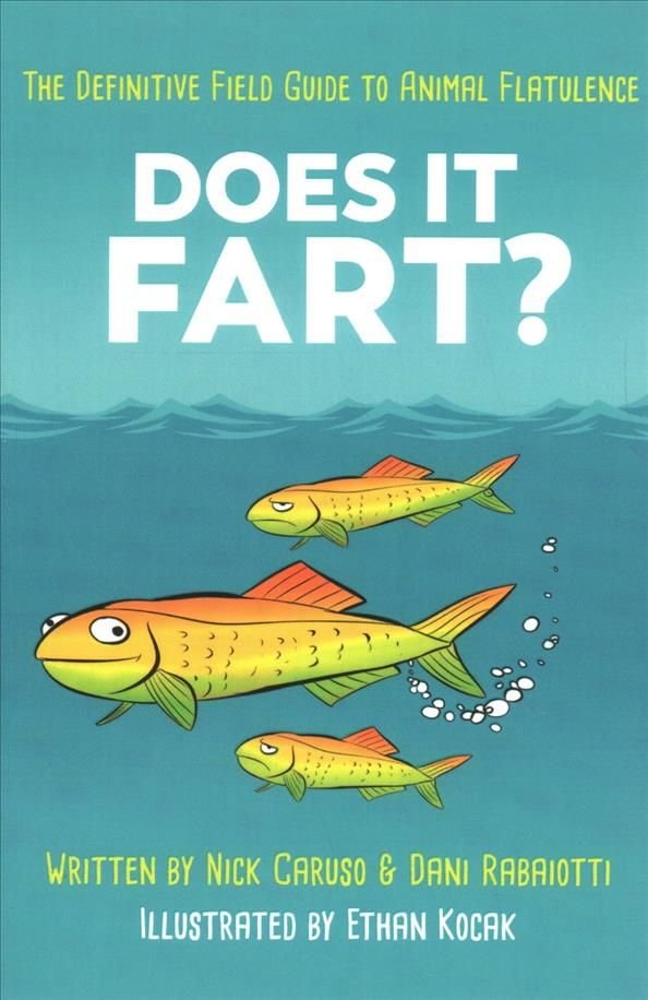 Buy Does It Fart by Dani Rabaiotti With Free Delivery wordery