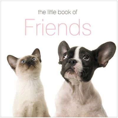 The Little Book of Friends