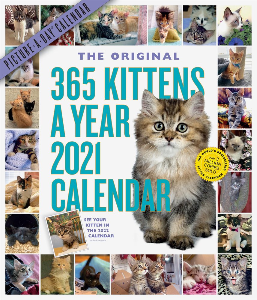 Buy 2021 365 KittensAYear PictureADay Wall Calendar by Workman